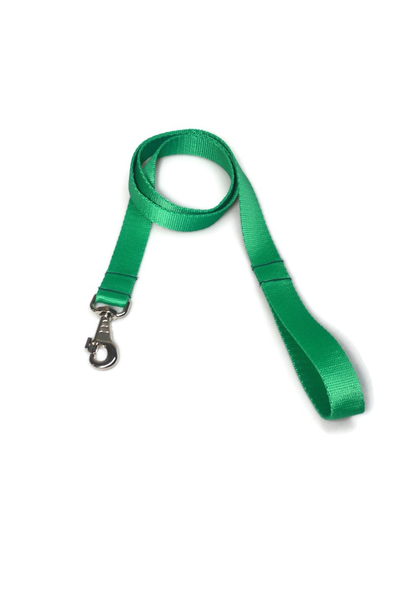 Smycz taśma ALIZOO A-024, 30 mm x 130 cm zielona