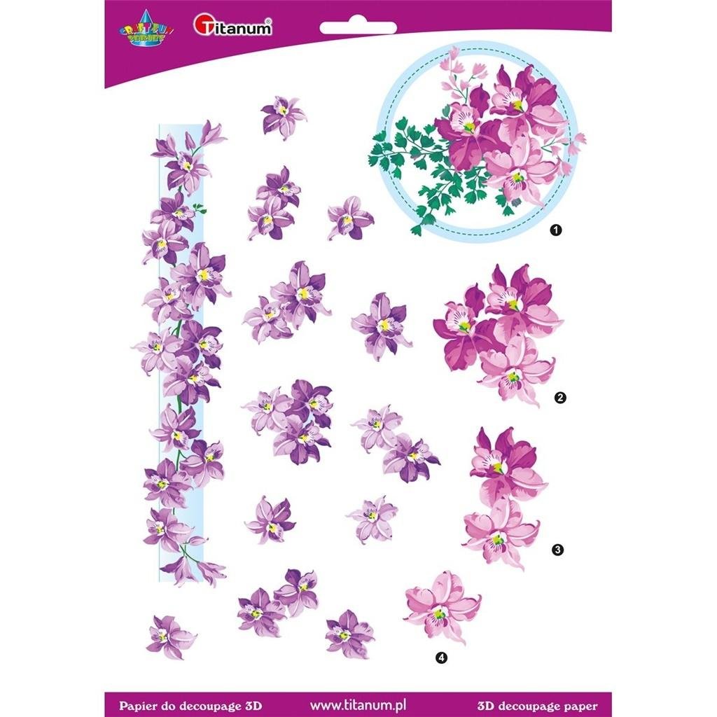 Papier 3D do decupage 22003