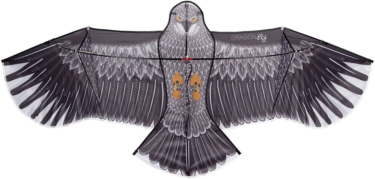 Latawiec dla dzieci Eagle Dragon Fly