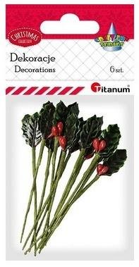 Titanum Gałązki ostrokrzewu 15x30mm 6szt