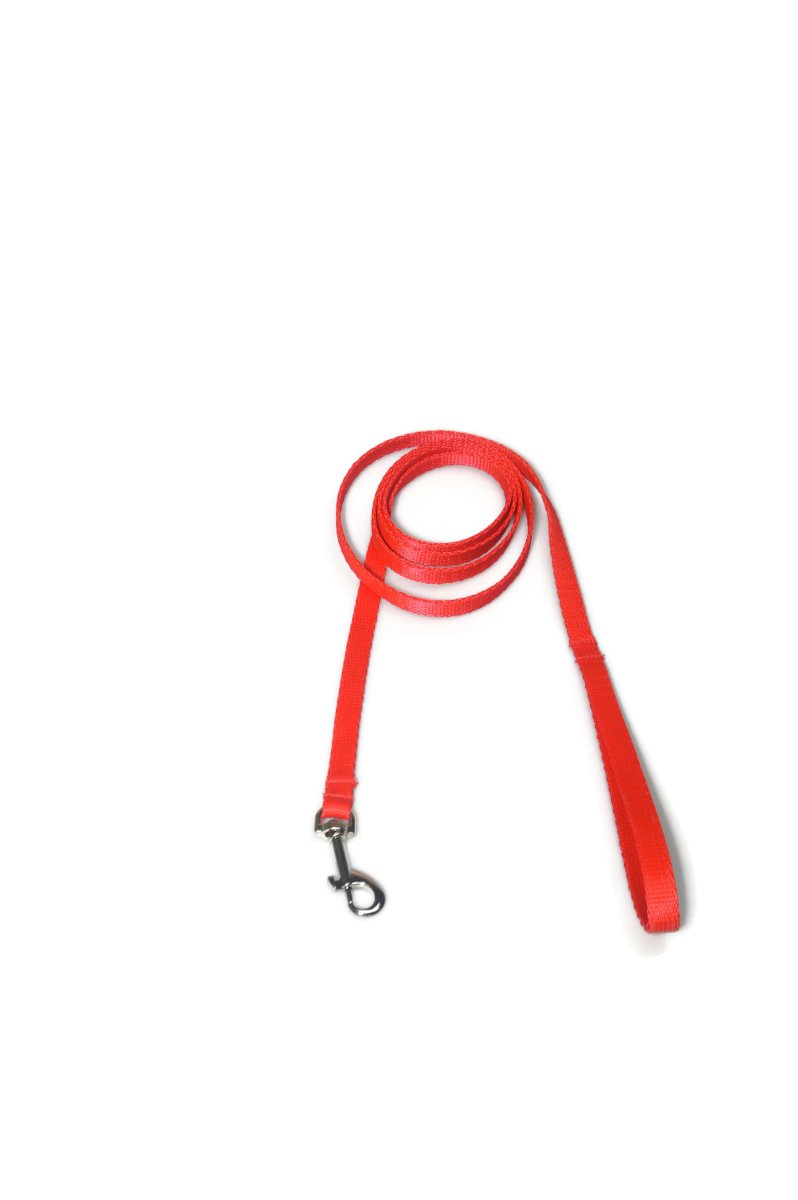 Alizoo Alizoo Smaycz dla małych psów 13mm/180cm ALIZOO A-026