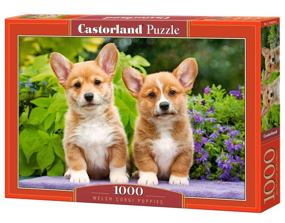 Puzzle 1000 Szczenięta Welsh Corgi C-104659-2