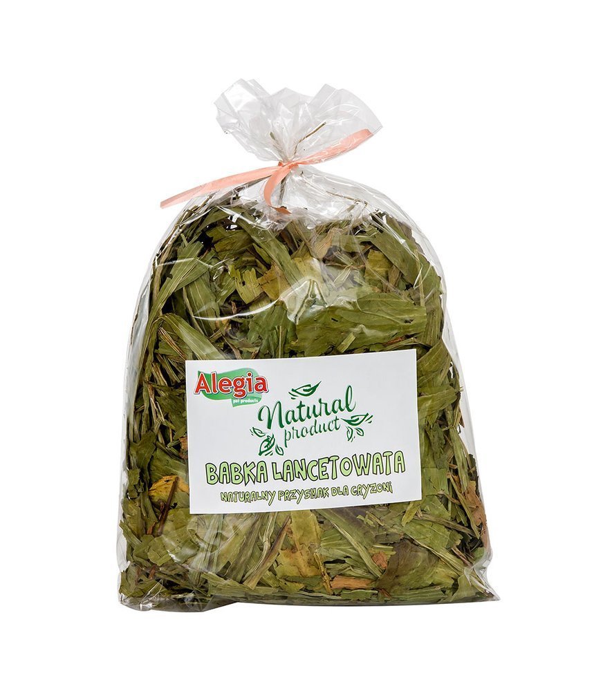 ALEGIA ALEGIA BABKA LANCETOWATA 100g
