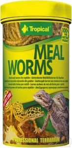 Tropical Meal Worms suszone larwy mącznika młynarka dla gadów 250ml/30g