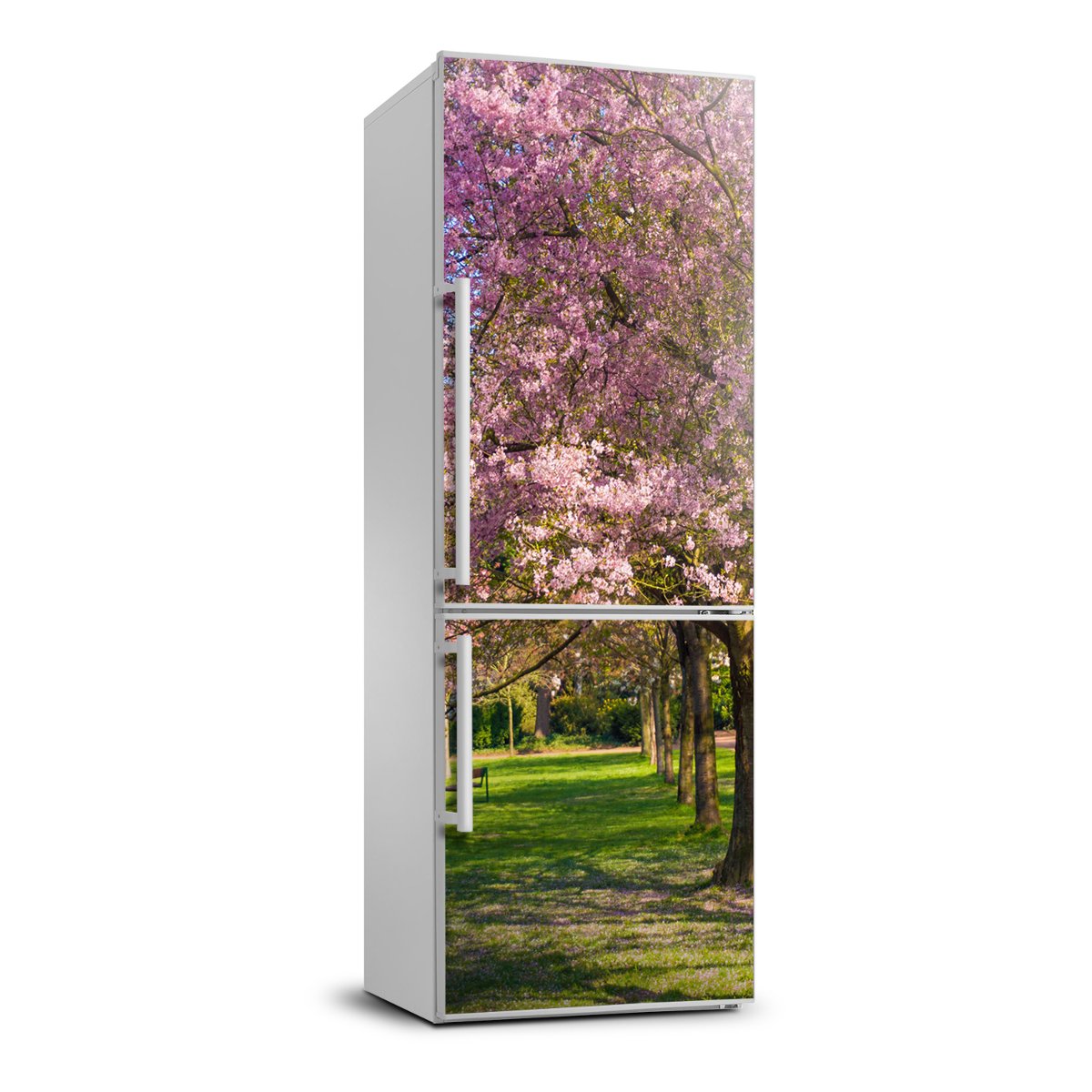 Naklejka fototapeta na lodówkę Drzewa wiśni 70x190, Tulup