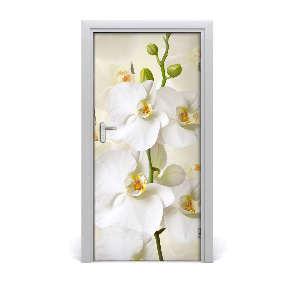 Nalepka naklejka fototapeta DRZWI Biała orchidea, Tulup