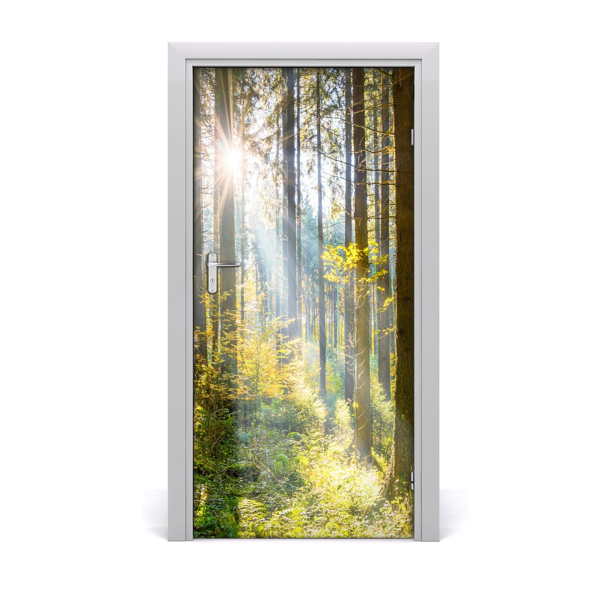 Naklejka fototapeta na drzwi Słońce w lesie, Tulup