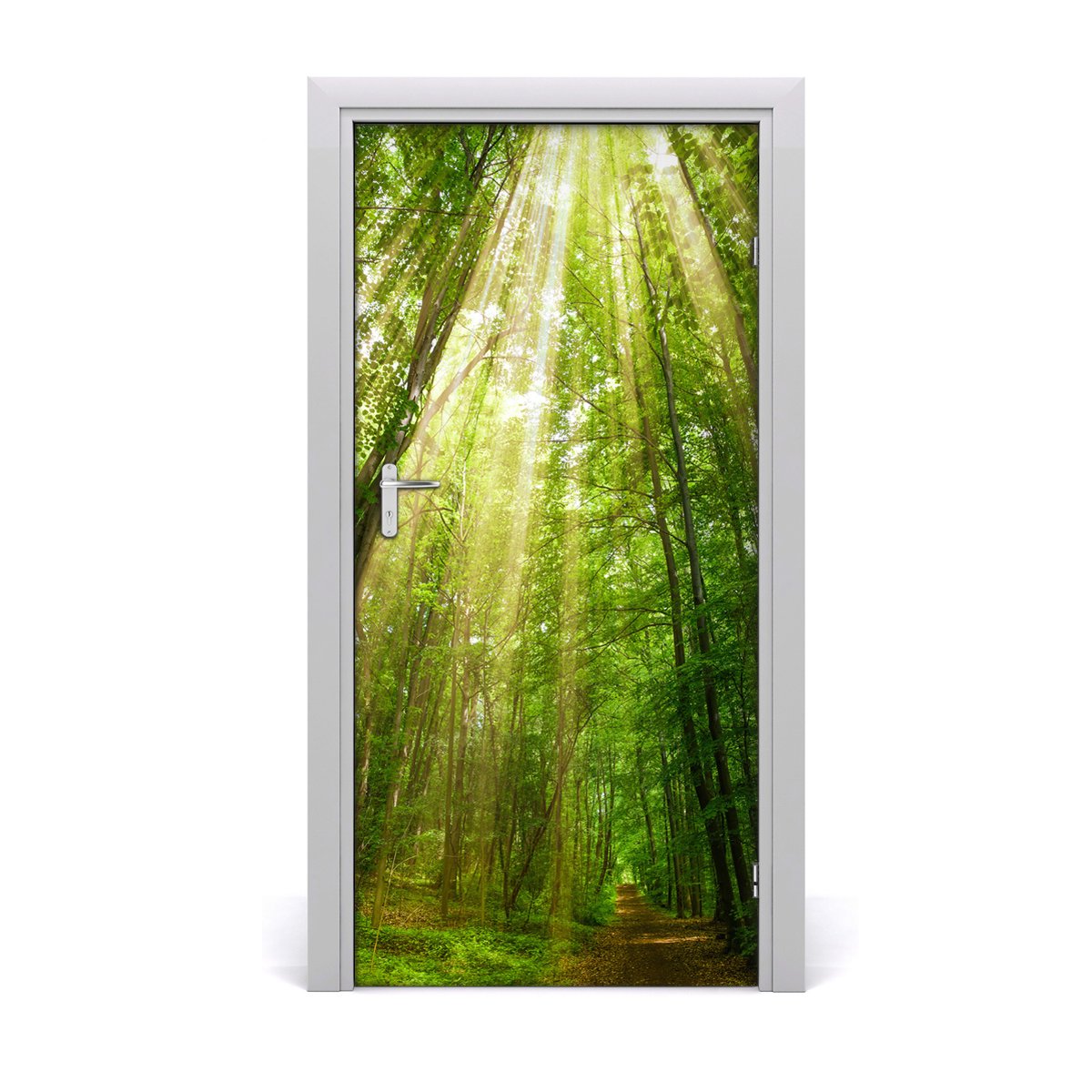 Naklejka fototapeta na drzwi Ścieżka w lesie, Tulup