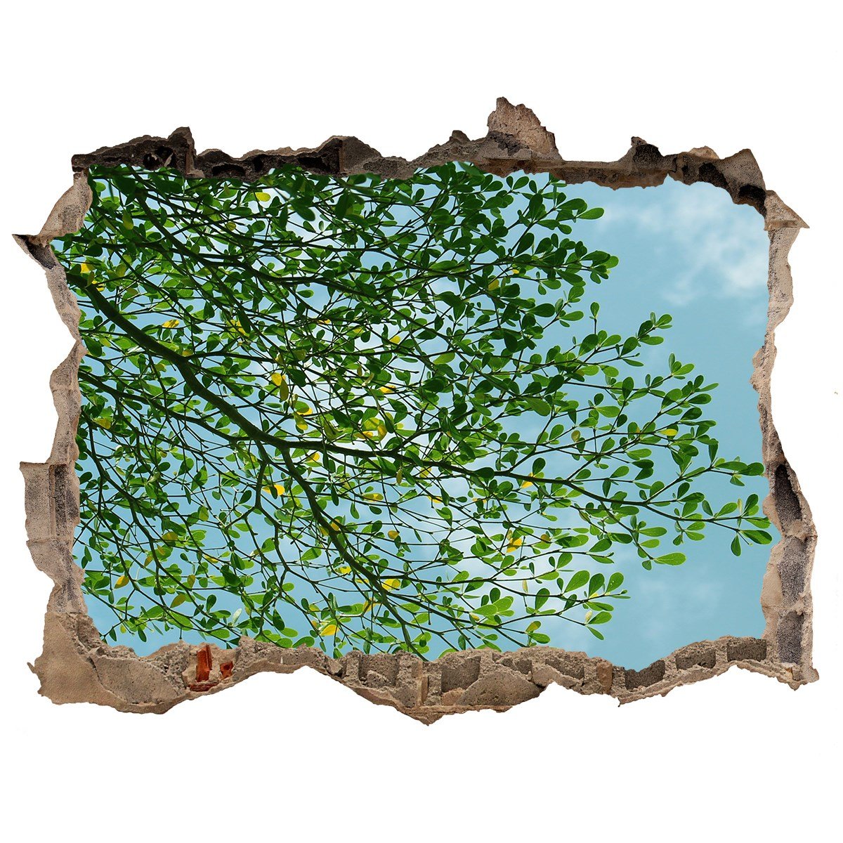 Dziura 3d w ścianie Naklejka Liście na niebie, Tulup