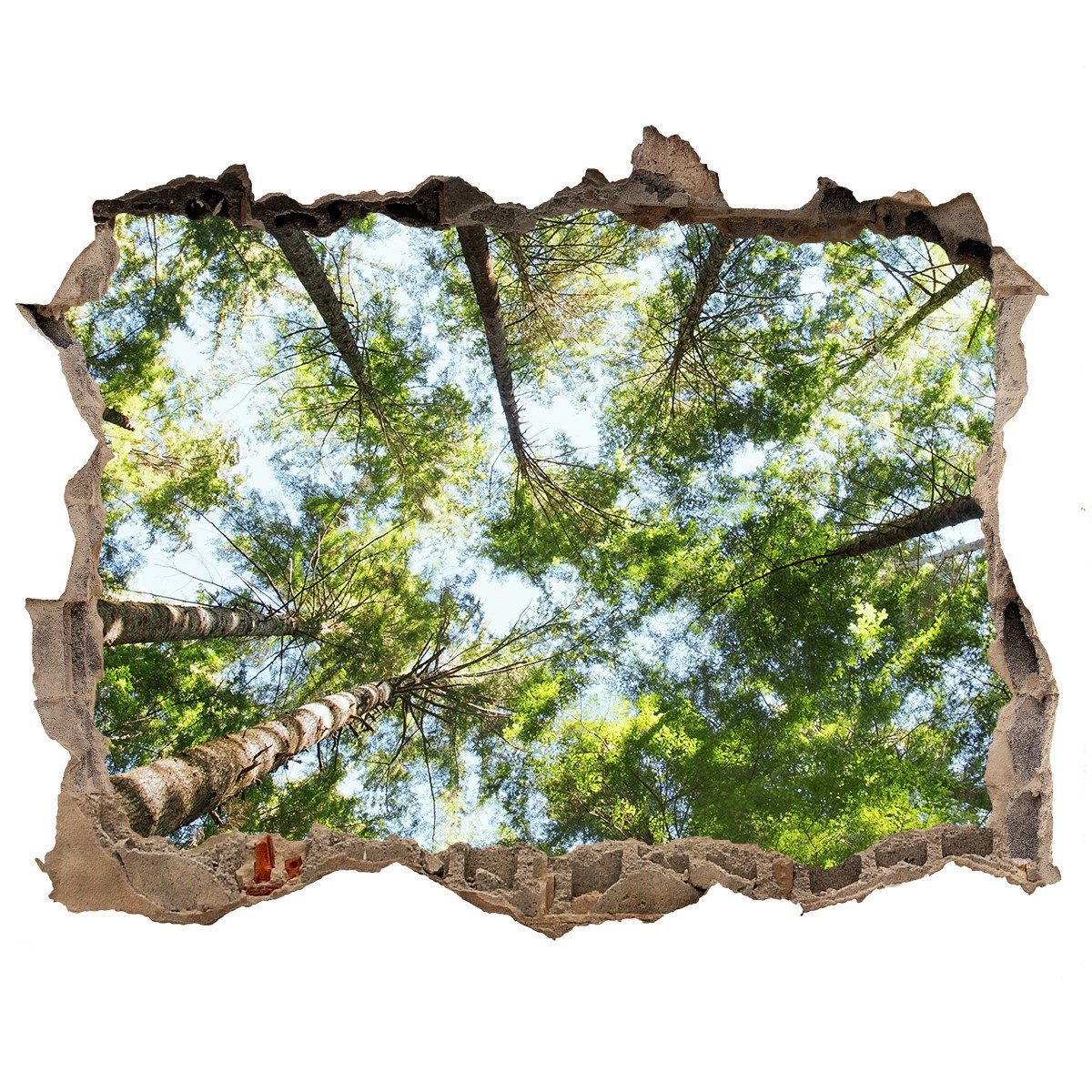 Dziura 3d w ścianie na ścianę Korona drzew 120x81, Tulup