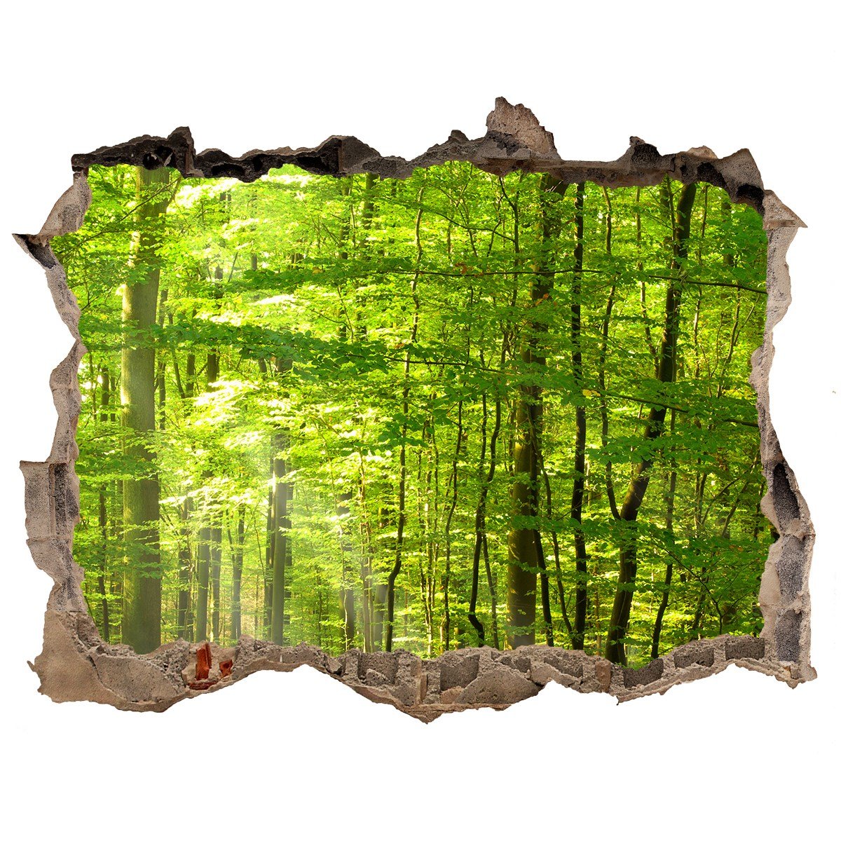 Dziura 3d w ścianie na ścianę Liściasty las 120x81, Tulup
