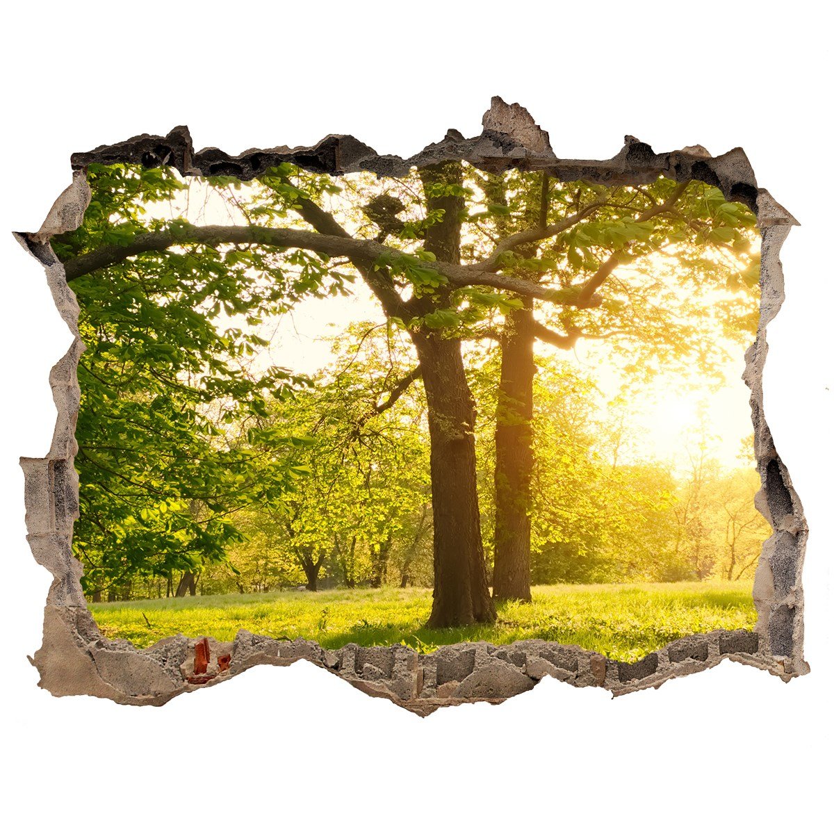 Naklejka fototapeta 3D widok Drzewa w parku 120x81, Tulup