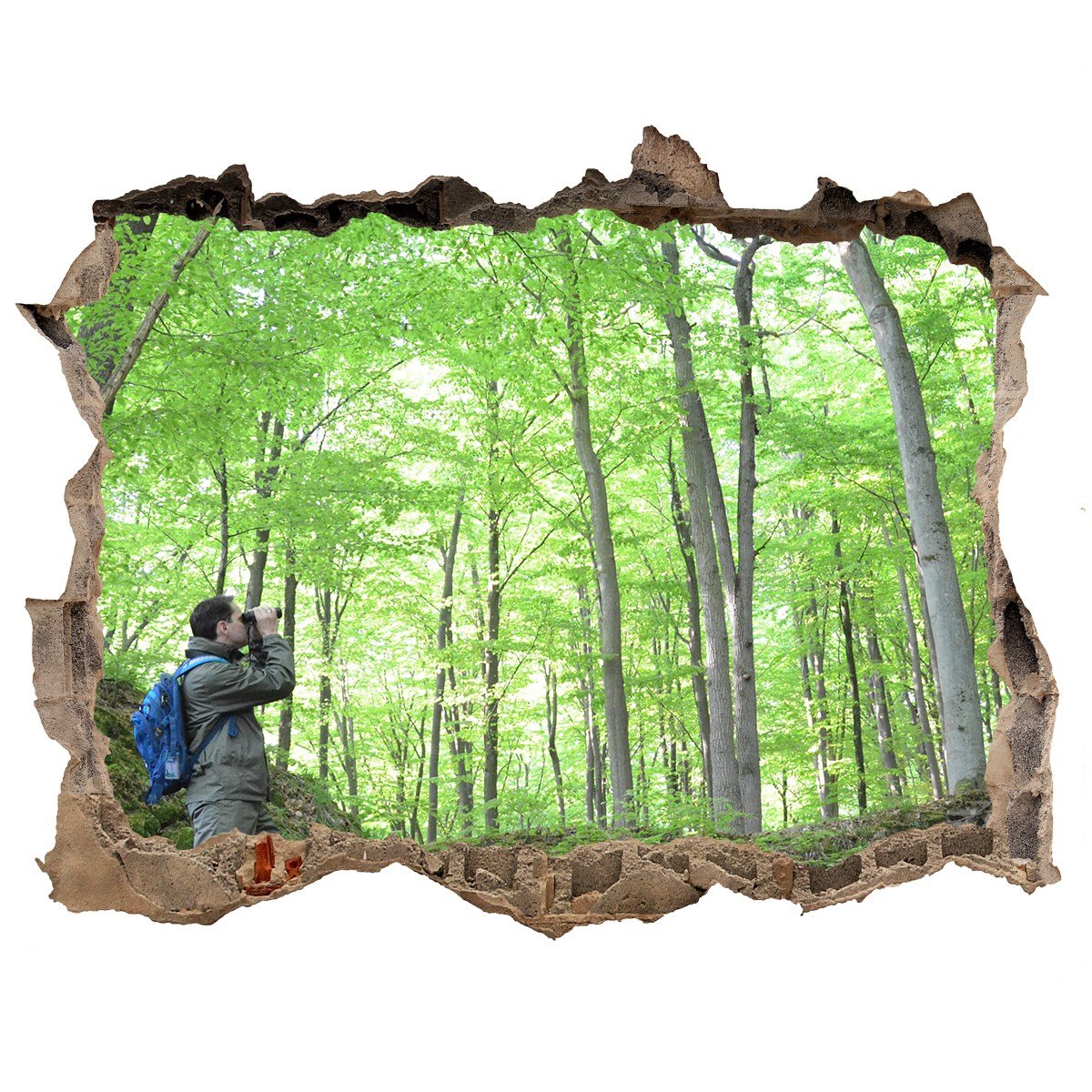 Fototapeta dziura na ścianę Ornitolog w lesie, Tulup