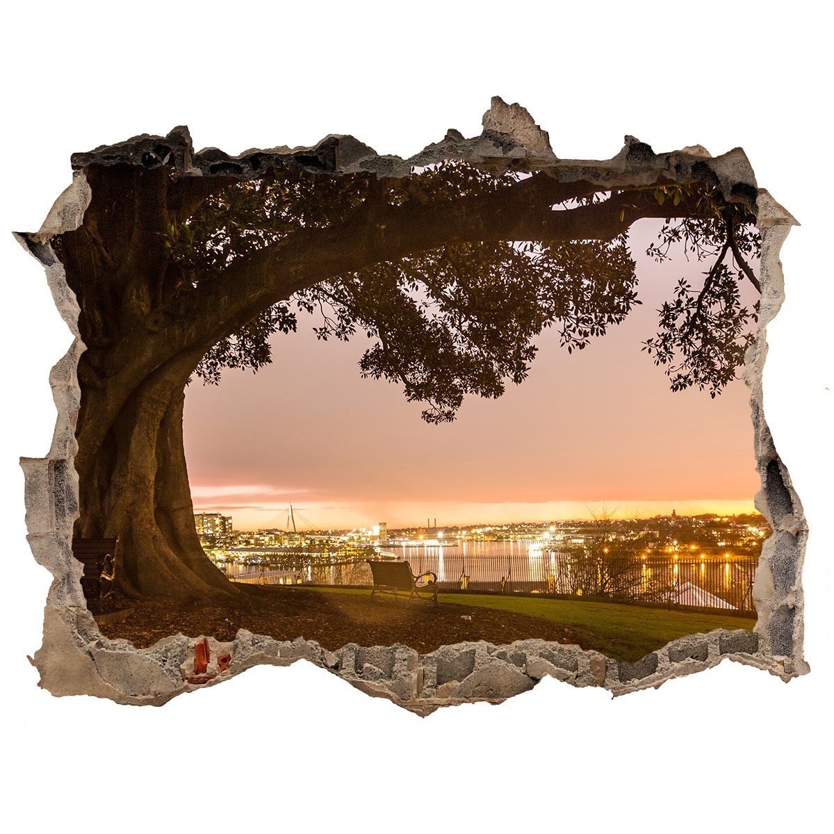 Naklejka fototapeta 3D na ścianę Stare drzewo, Tulup