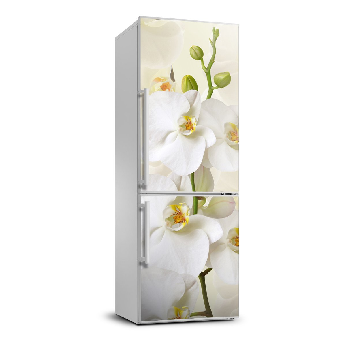 Nalepka naklejka Tapeta lodówkę orchidea 70x190, Tulup