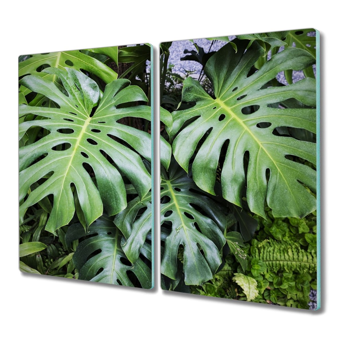 Deska ze szkła 2x30x52 Botaniczne rośliny liście, Coloray