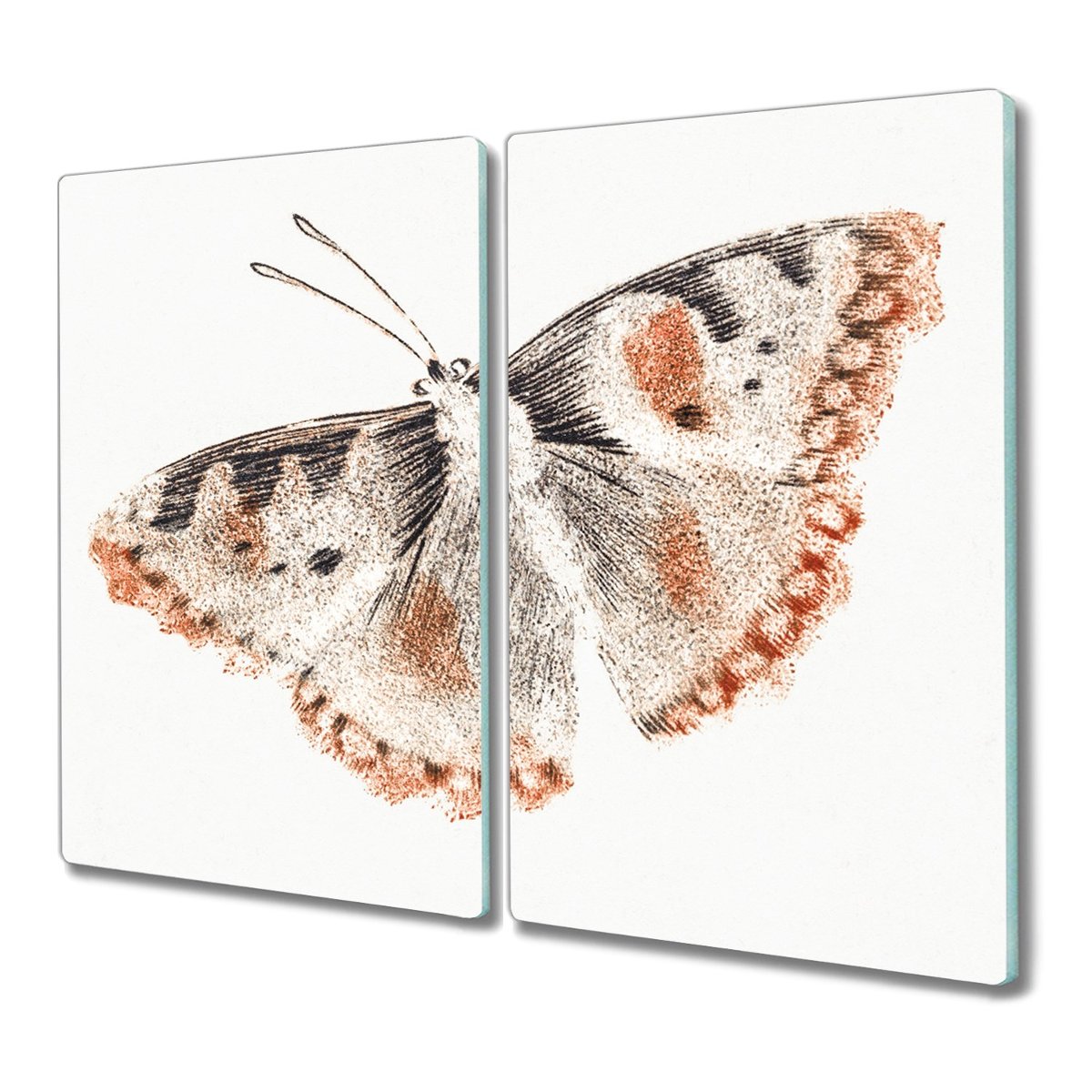 Szklana deska 2x30x52 Azalie japońskie do krojenia, Coloray