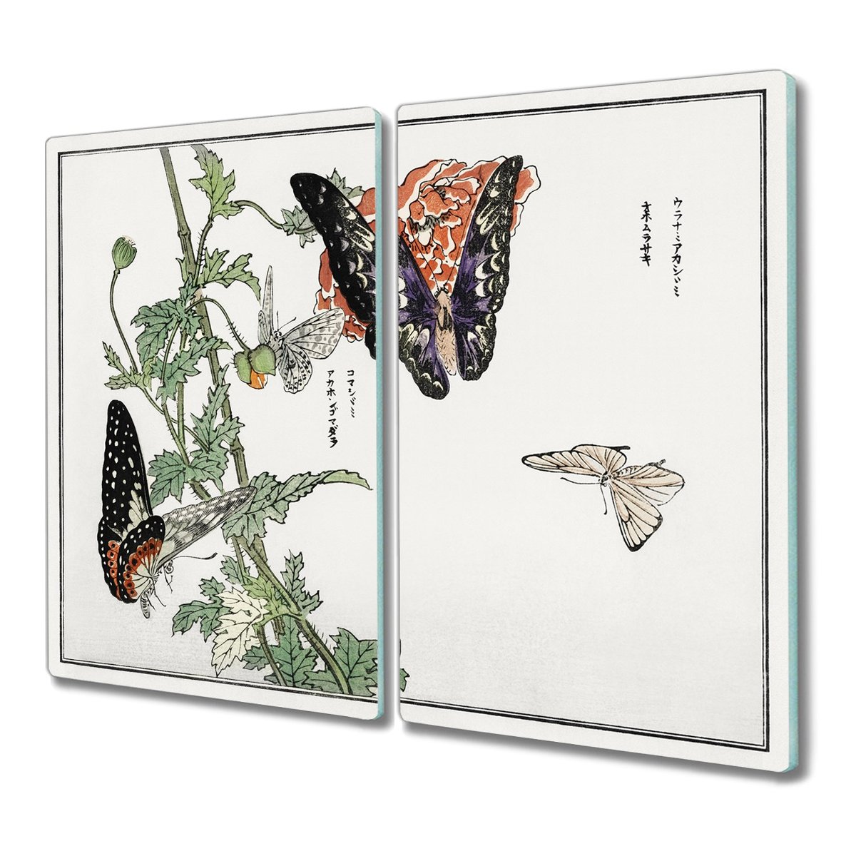 Deska 2x30x52 Owady robaki do kuchni do krojenia, Coloray