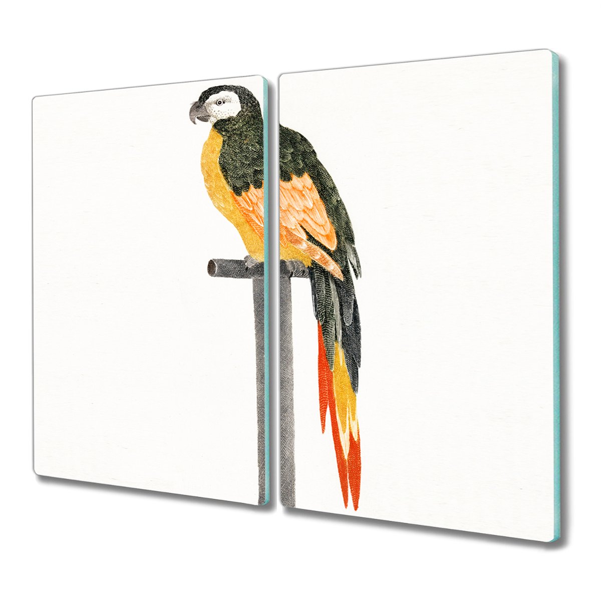 Deska ze szkła 2x30x52 cm Zwierzę pies z grafiką, Coloray