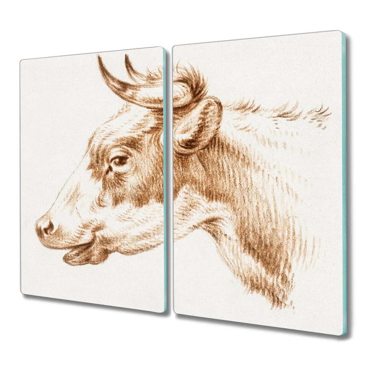 Deska ze szkła 2x30x52 Dziecko chłopiec na prezent, Coloray