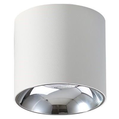 Abigali Downlight LAMPA sufitowa VAIOLETT DL10W-WW Abigali metalowa OPRAWA tuba LED 10W 3000K spot biały DL10W-WW