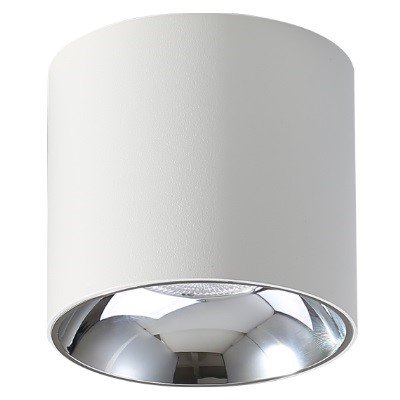 Abigali Spot LAMPA sufitowa VAIOLETT DL15W-NW Abigali metalowa OPRAWA okrągła LED 15W 4000K tuba biała DL15W-NW