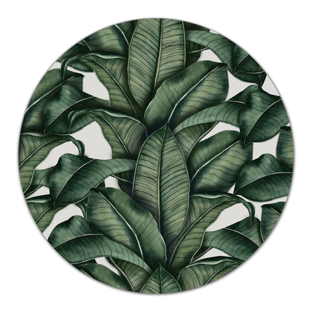 Podkładka ze szkła ozdoba Liście tropikalne fi40, Coloray