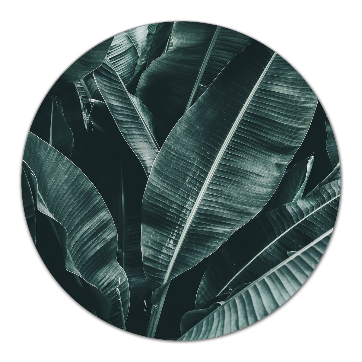 Szklana podstawka Duże egzotyczne liście fi40 cm, Coloray