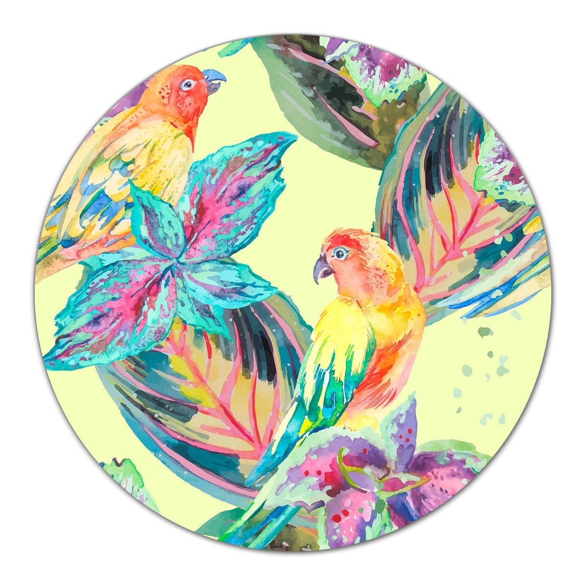 Deska szklana kuchenna Akwarela barwne papugi fi40, Coloray