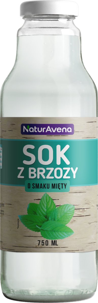 NATURAVENA NATURAVENA SOK Z BRZOZY MIĘTOWY 750ML