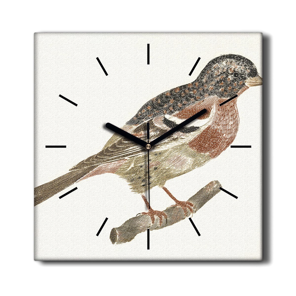 Kuchenny zegar na płótnie Zwierzę ptak gałąź 30x30, Coloray