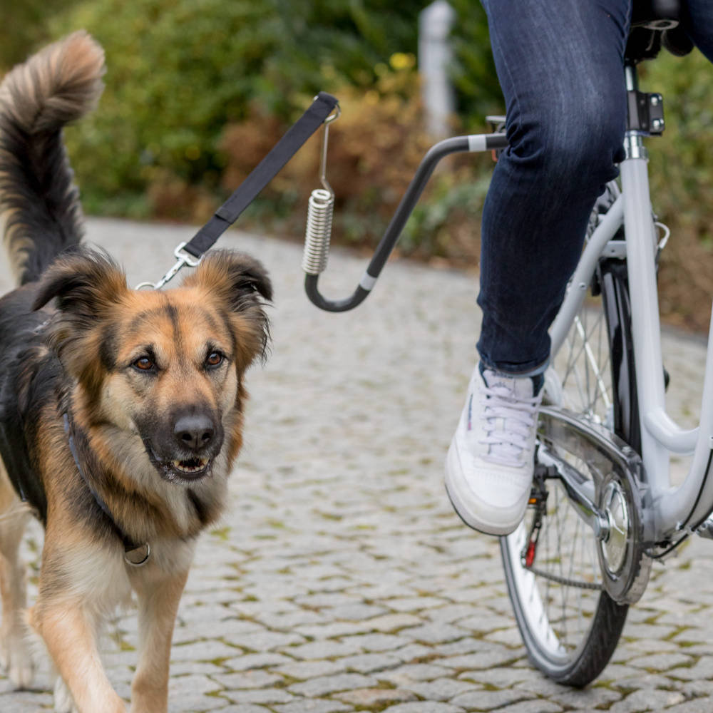 Trixie Zestaw rowerowy ze smyczą, dla średnich i dużych psów, grafitowy, w kształtcie U, M-XL