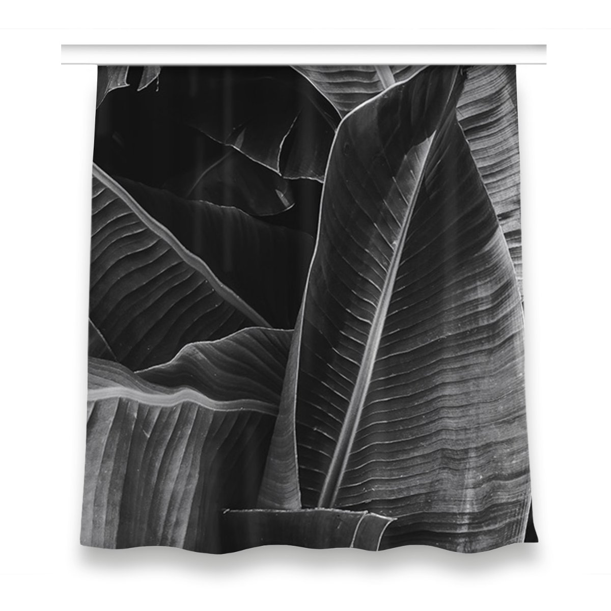 Klasyczna zasłona z nadrukiem 150x160 Duże liście, Fabricsy