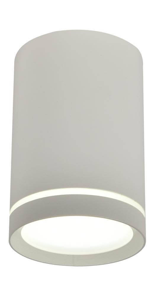 Candellux Sufitowa LAMPA spot TUBA 2277134 metalowa OPRAWA plafon tuba downlight szary 2277134