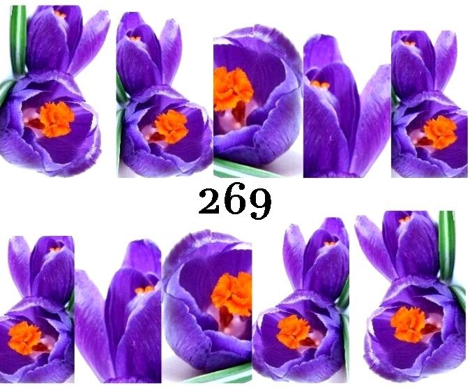 Naklejki wodne na paznokcie - nr 269