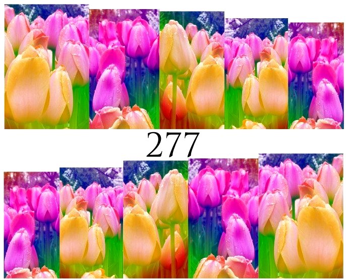 Naklejki wodne na paznokcie - nr 277