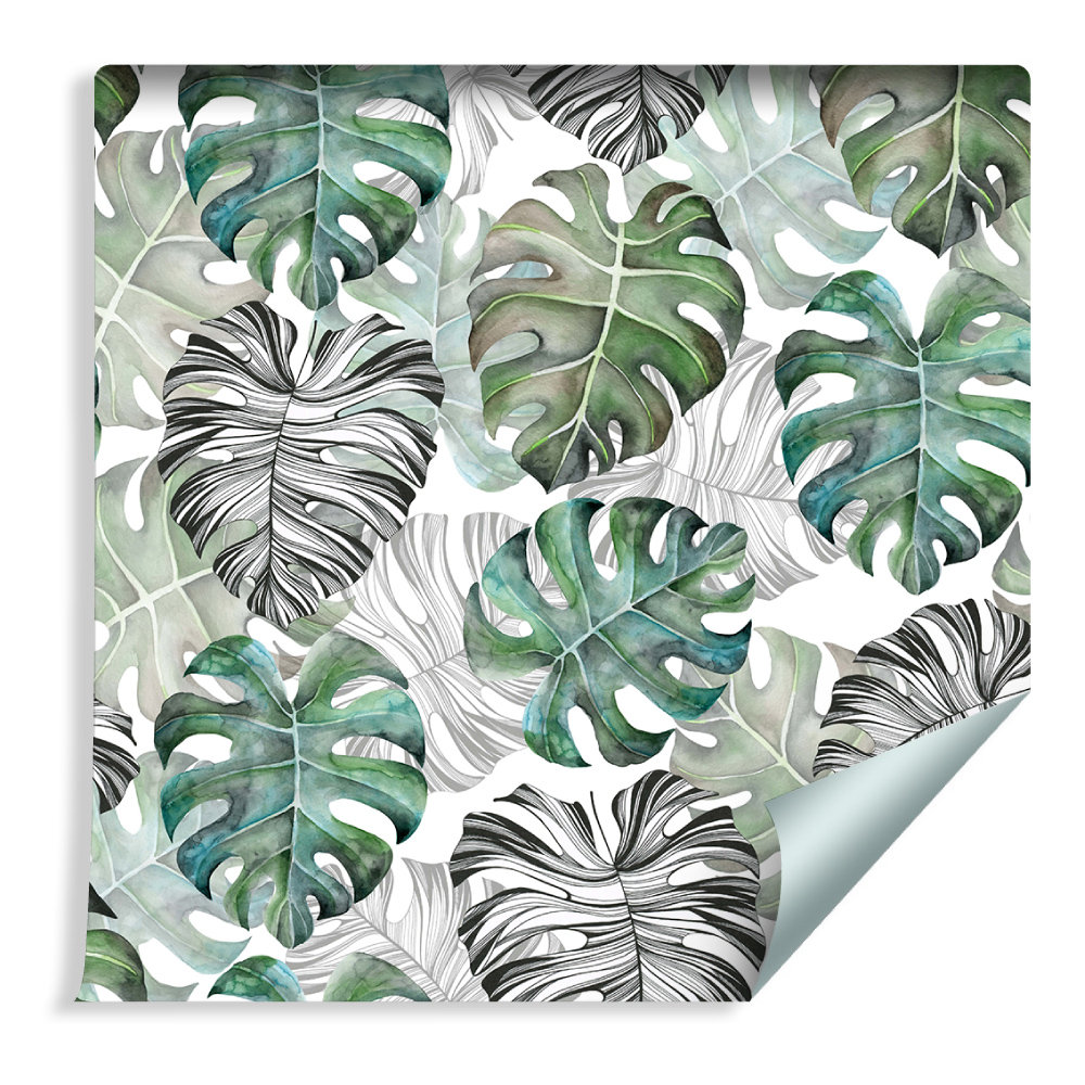 Muralo Tapeta Liście Monstera 263654526 T_F_10mx53_W_263654526_A