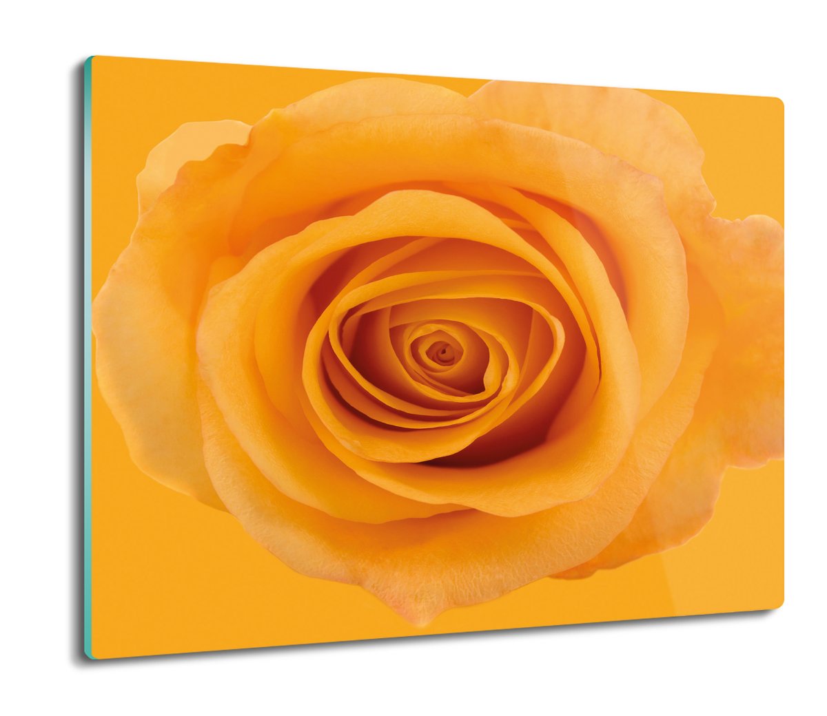 osłona do kuchenki szklana Żółta róża kwiat 60x52, ArtprintCave