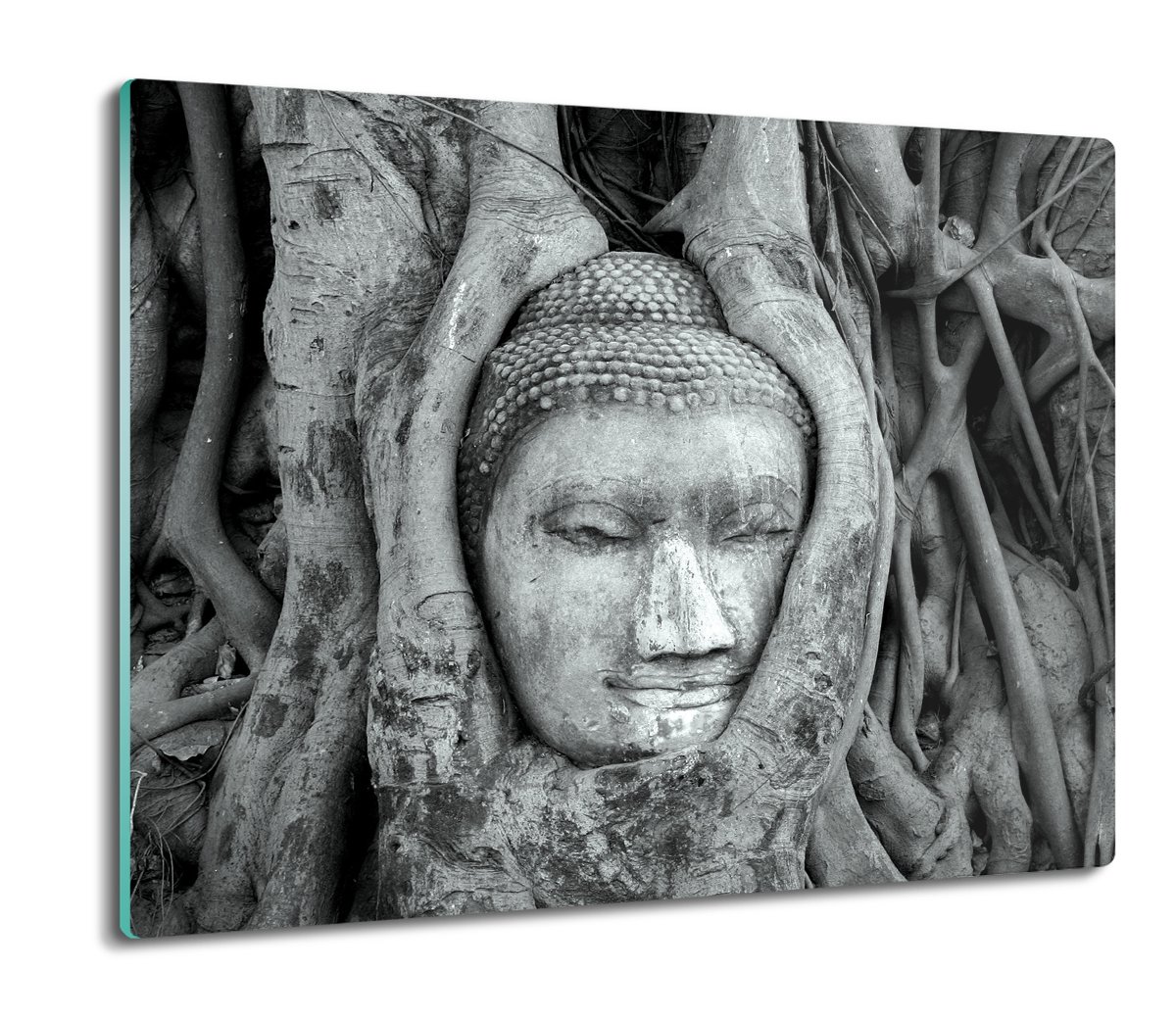 deska splashback ze szkła Budda w drzewie 60x52, ArtprintCave