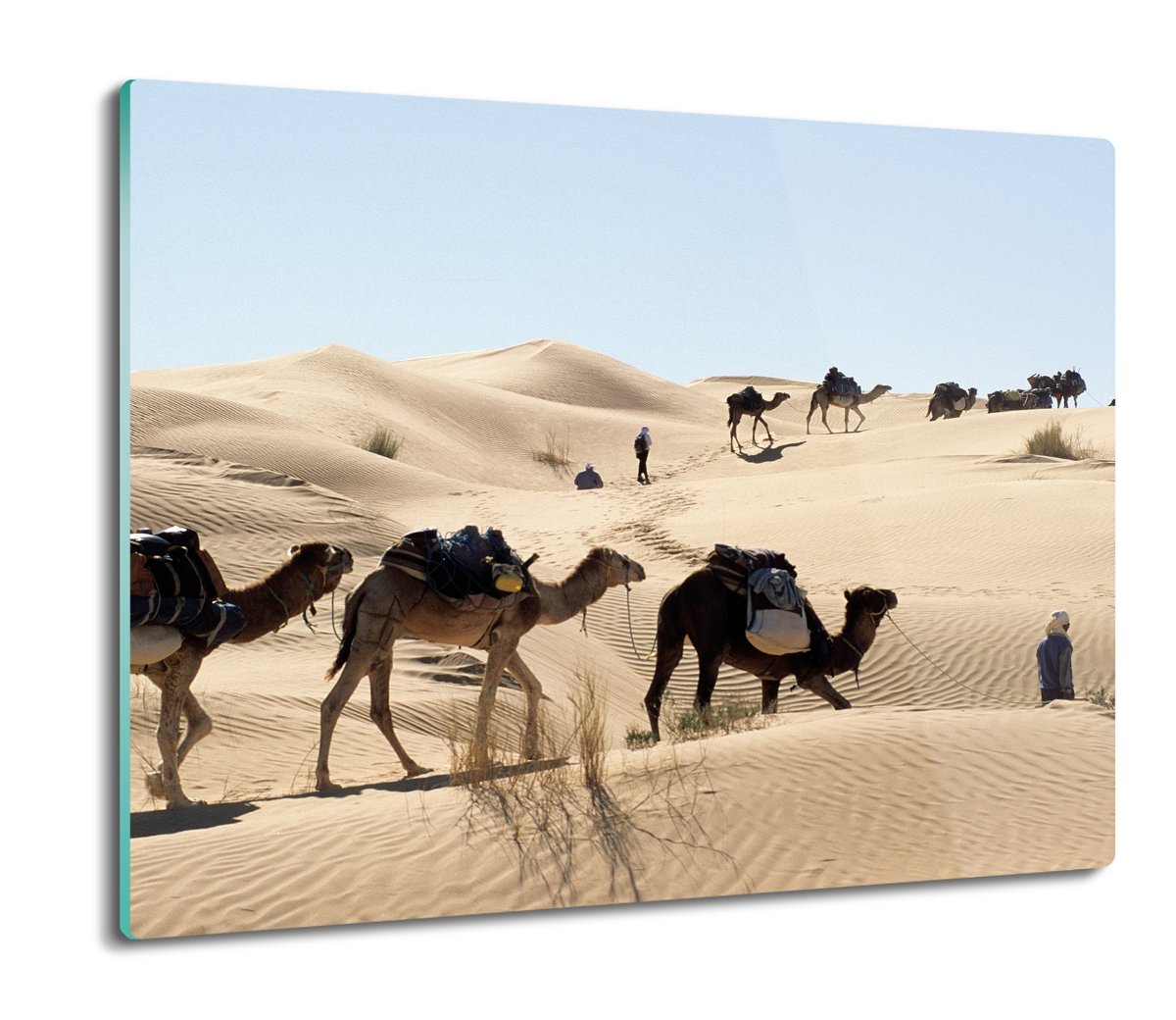 deska splashback szklana Karawana wielbłądy 60x52, ArtprintCave
