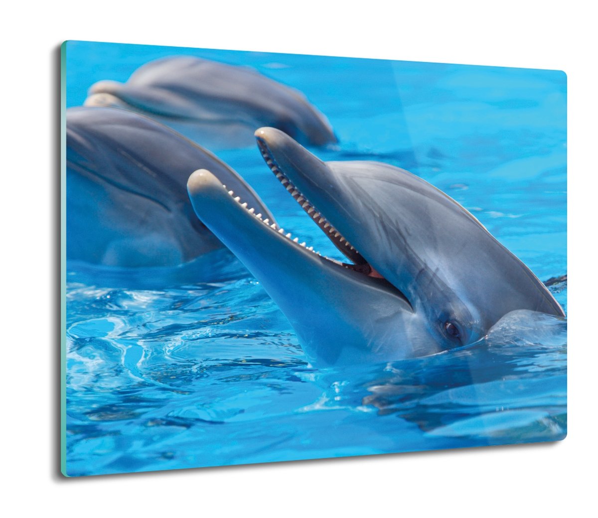 osłona do płyty indukcyjnej Delfiny ocean 60x52, ArtprintCave