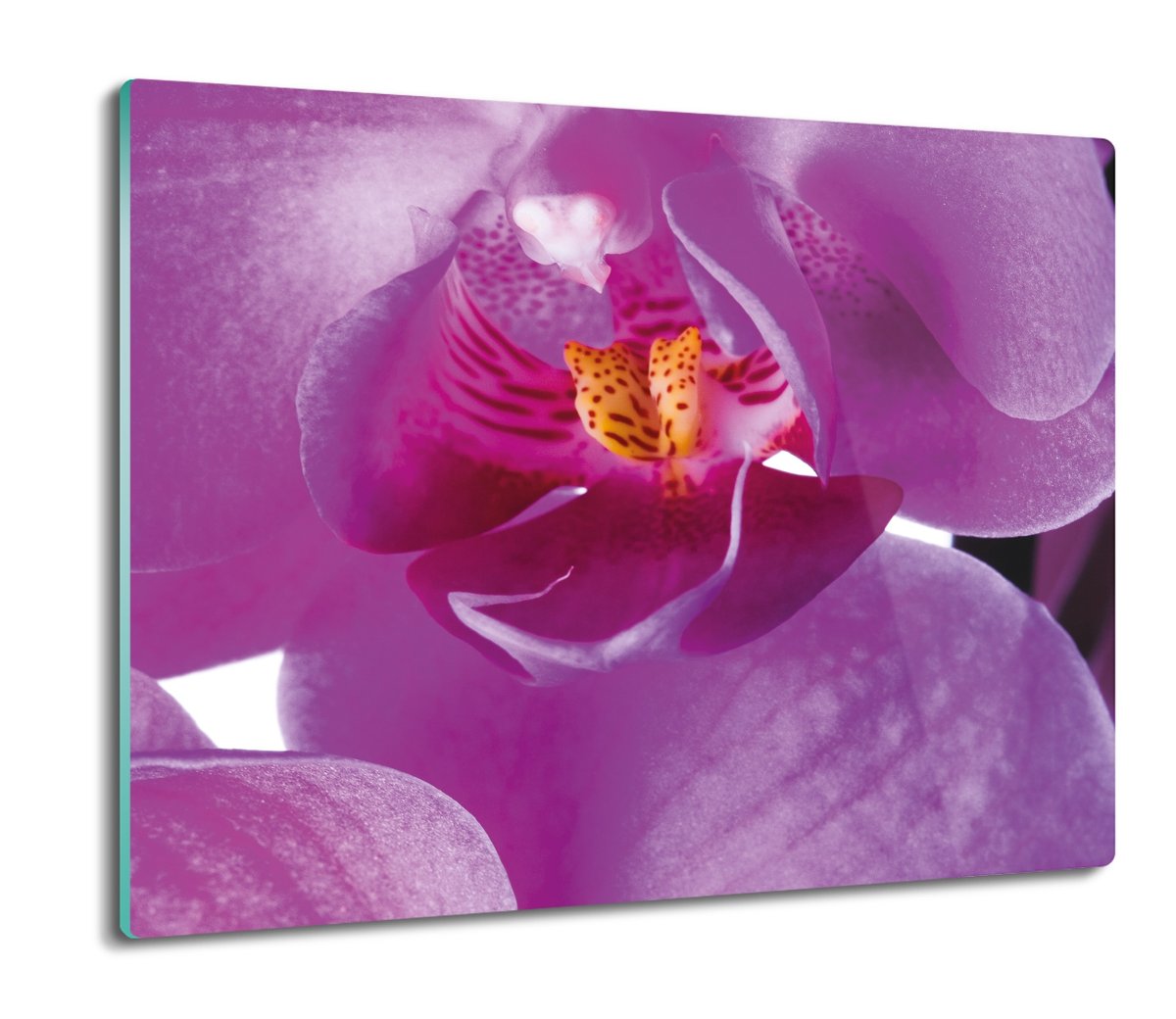 osłona na płytę indukcyjną Orchidea storczyk 60x52, ArtprintCave