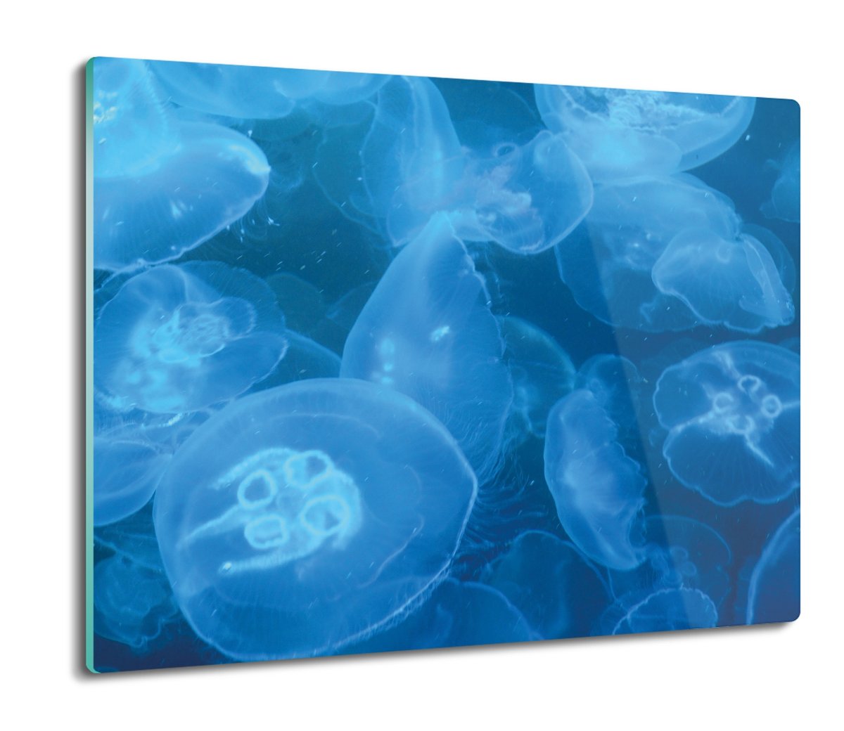 z foto deska splashback Meduzy ocean morze 60x52, ArtprintCave