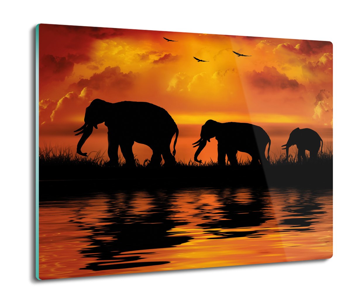 osłona płyty kuchennej Słonie zachód woda 60x52, ArtprintCave