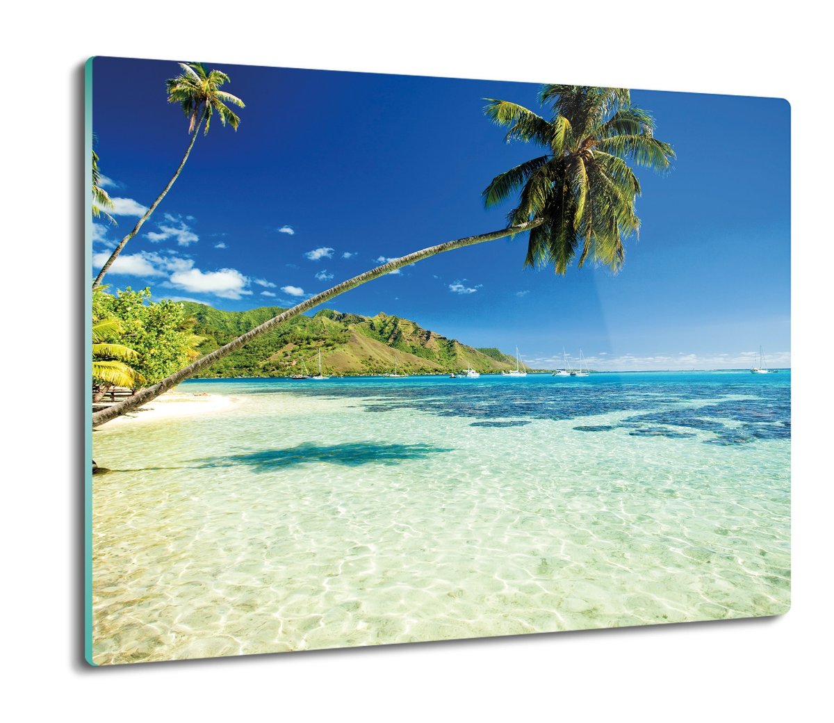 szklana osłona do kuchenki Plaża palmy morze 60x52, ArtprintCave