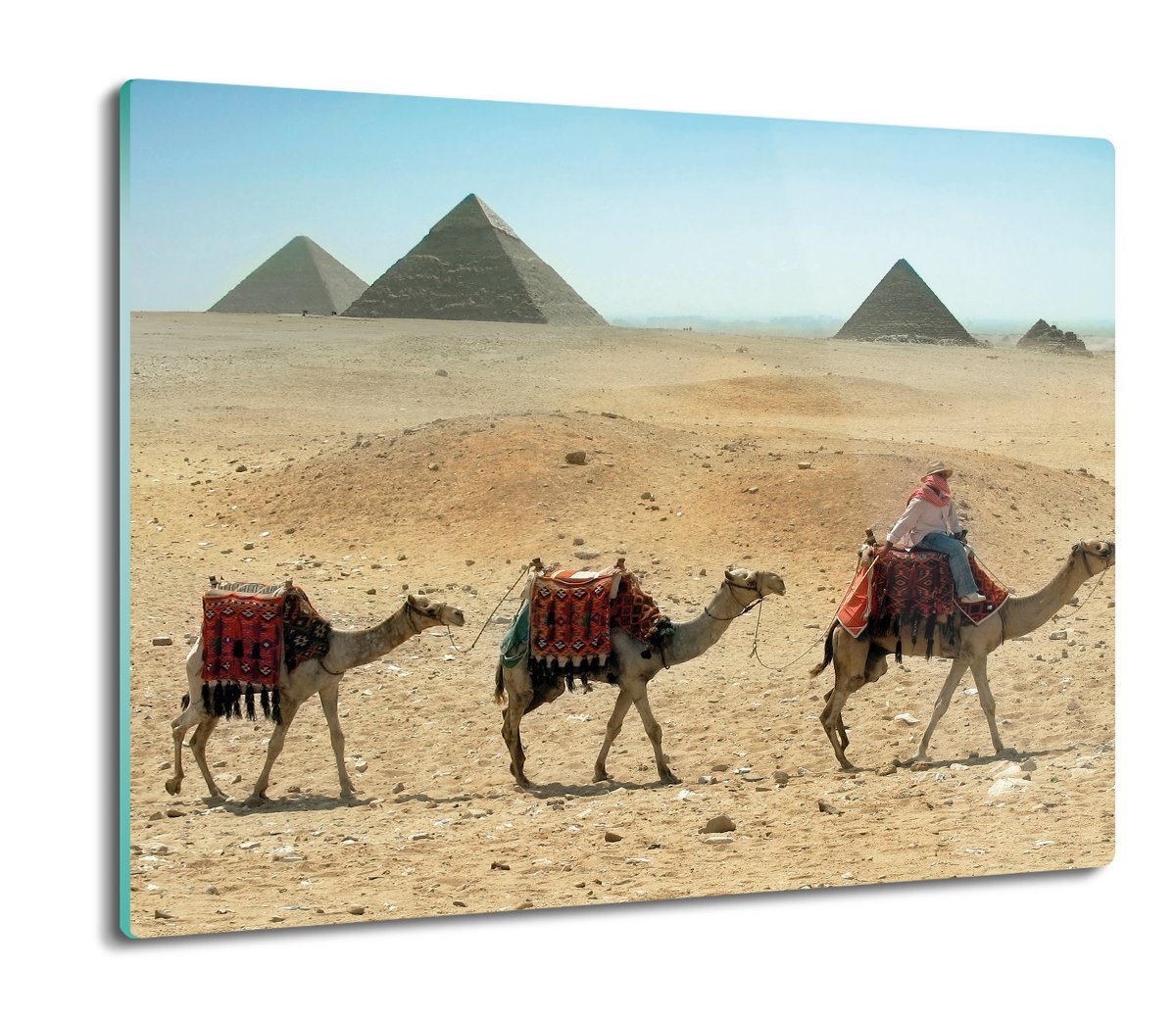 deska splashback druk Wielbłądy karawana 60x52, ArtprintCave