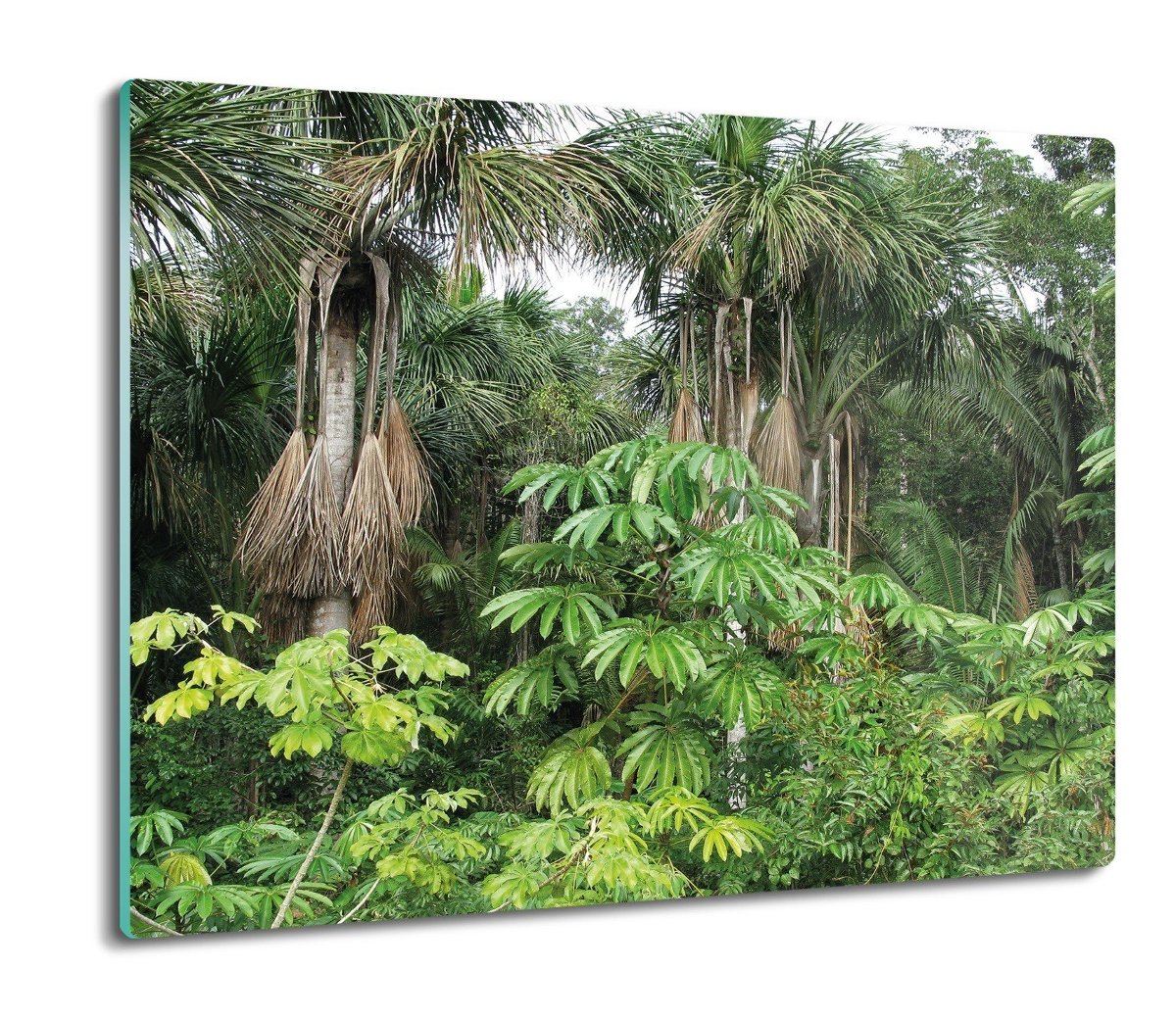 osłona do kuchenki druk Amazonia dżungla las 60x52, ArtprintCave