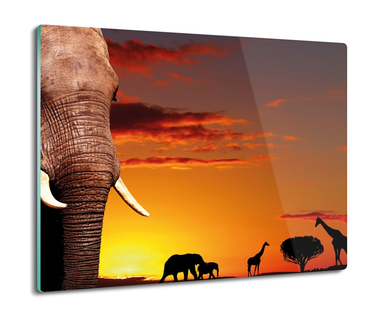 szklana splashback druk Zachód słońca słoń 60x52, ArtprintCave
