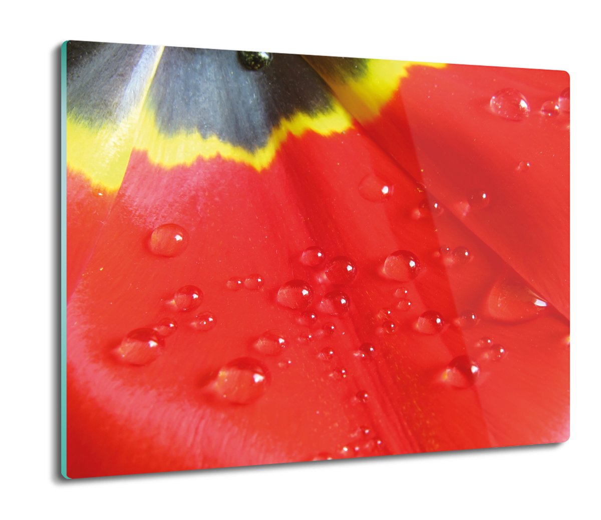 druk osłona płyty kuchennej Kwiat makro mak 60x52, ArtprintCave