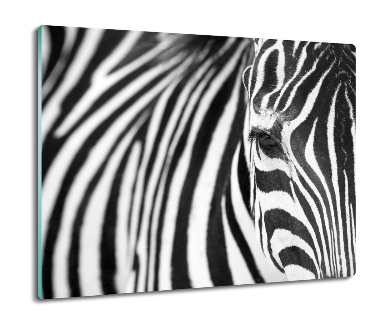 szklana osłona do kuchenki Zebra głowa pasy 60x52, ArtprintCave